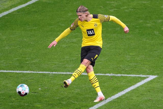 青岛海牛队 青岛海牛队